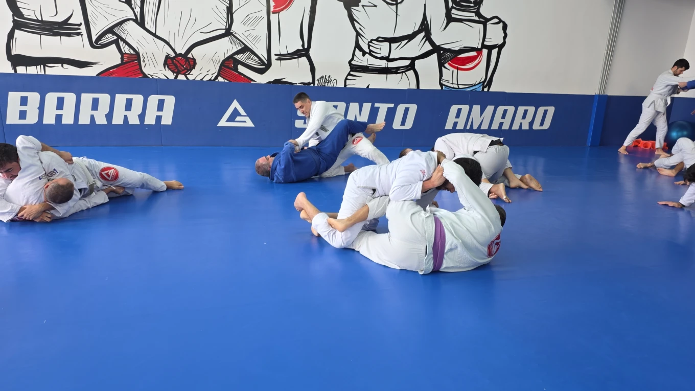 GB3 — Black Belt Program